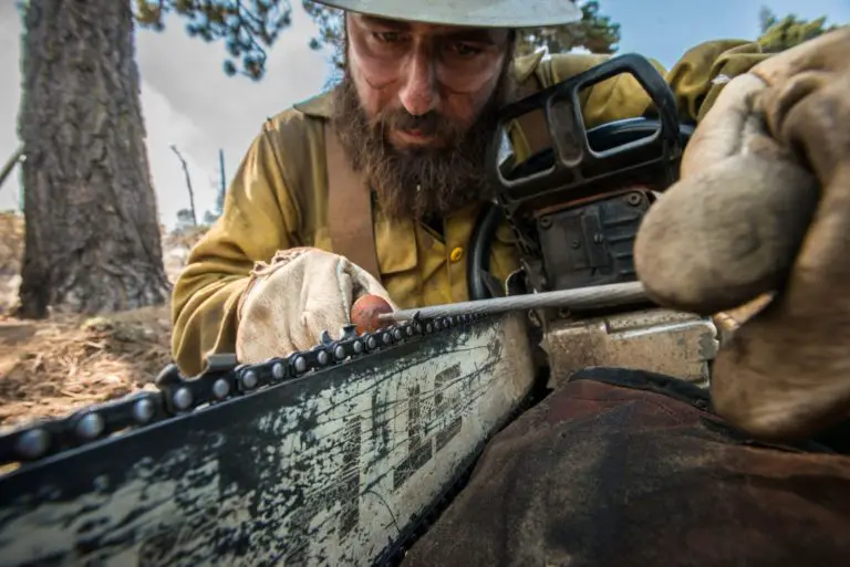 7 Tips from Experts On Chainsaw Sharpening