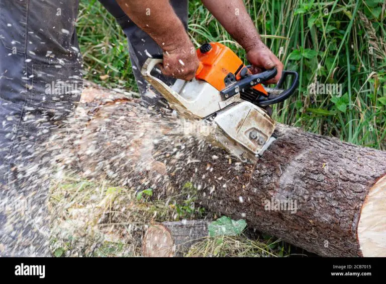 What to Do With Sawdust from Chainsaw