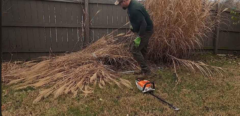Can You Cut Pampas Grass With a Chainsaw