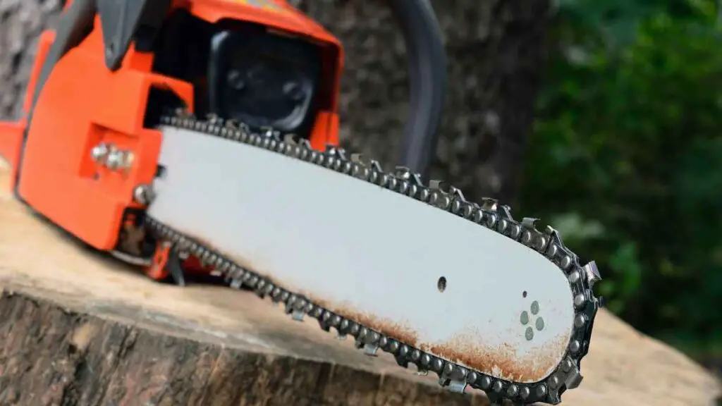Best Chainsaw Chain for Professional Use 