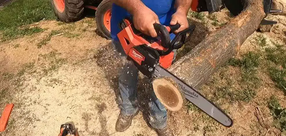 Can You Cut Dry Wood With a Chainsaw