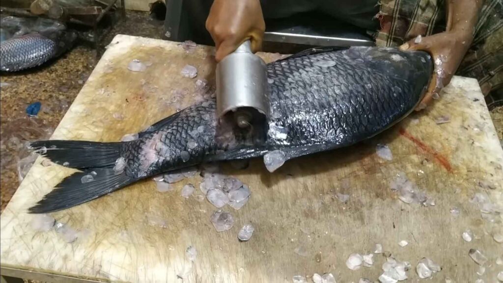 Can You Use Electric Carving Knife on Fish