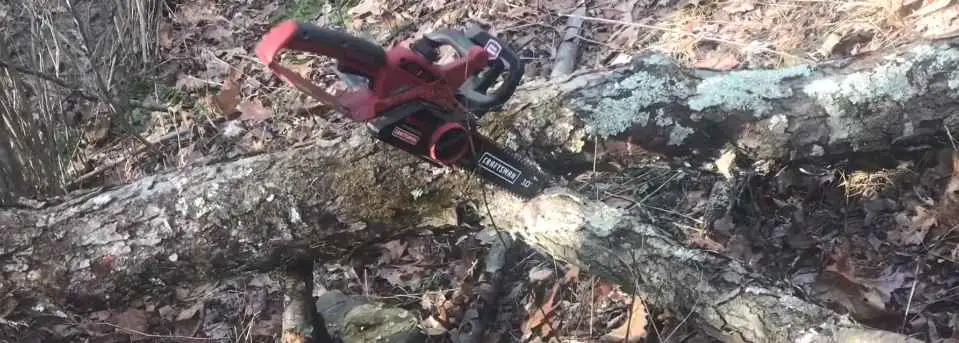 Chainsaw Stuck in Standing Tree
