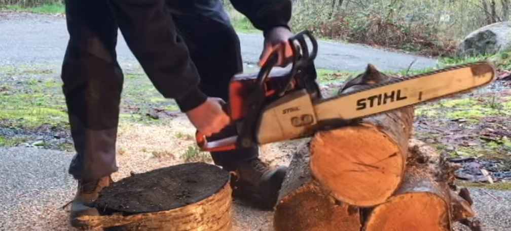Does Cutting Wet Wood Dull a Chainsaw