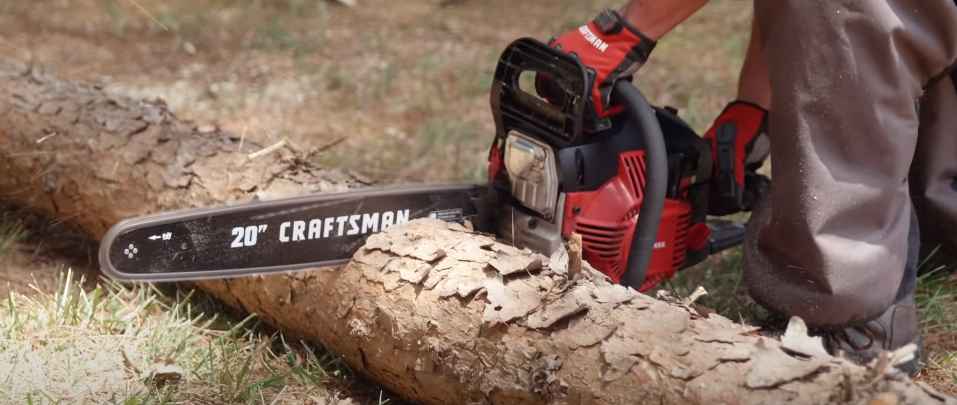 Does Wood Need to Be Dry to Chainsaw