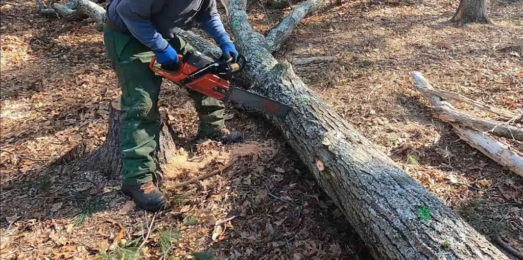 How to Avoid Chainsaw Getting Stuck