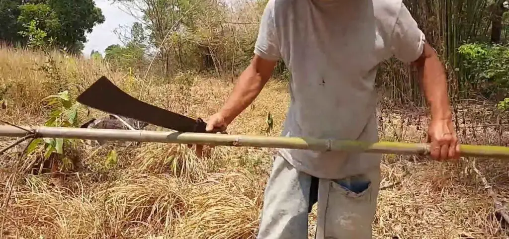 How to Cut Tall Bamboo 